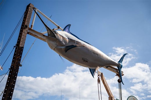 Kahoʻolawe Island Reserve Commission announces February trolling schedule | Maui Now