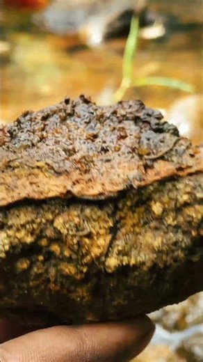 I Saw RED Inside This Rock! 🔴🔨 Cracking for Rubies.