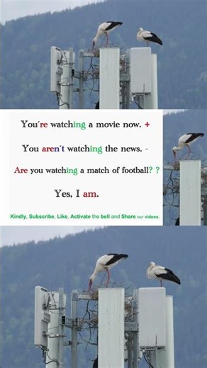 4- Fix Your English Fast I Present Continuous #english #easyenglisheveryday #presentcontinuous