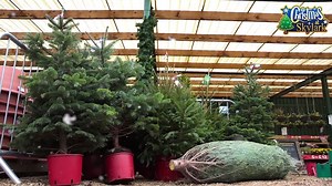 34 reactions · 22 shares | Who doesn’t know what to buy their...