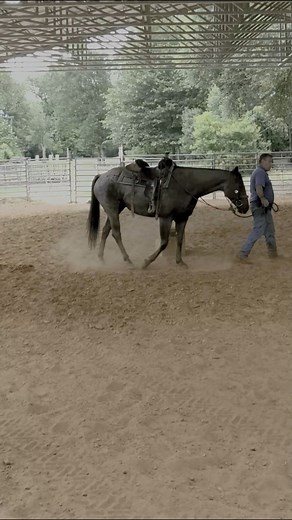 26K views · 538 reactions | Bad Timing and Problems | Tim Anderson Horse Training | Facebook