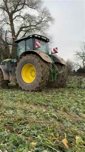 Démo Kerner X-Cut en Alsace 🟢 Notre campagne de démonstrations du rouleau frontal Kerner X-Cut continue en Alsace. Avec le gel actuel, l’outil montre vraiment tout son potentiel : travail propre, régulier et très efficace sur les couverts. ❄️ Les démos se poursuivent dans tout le secteur. 👋 Pour en organiser une sur votre exploitation, contactez Céline au 06 31 41 42 51 📲 | SN Hittinger