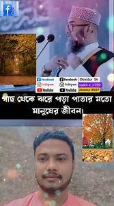 🤔🌲🍁গাছ থেকে ঝরে পড়া পাতার মতো মানুষের জীবন। গোলাম সরোয়ার সাঈদী #islamic #viralvideo