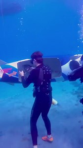 🇺🇸We are honored to sponsor this years team Human-Powered Submarine Team @ FAU 2025 human powered sub race in Florida. DEEPSEA MGZN Locked and loaded ✅FAU is ready to race 🏁#SubRaceSeries #subracing #subracingseries #submarineracing #underwaterbike #underwaterbicycleTeam members at competition:Twain Glas Jacob DensonDeclan DePietroAbby DePietroEthan Garcia Emily Serrano 🎥: Emily Serrano j#hps #humanpoweredsubmarine #bearing #bearingmanufacturer #bocabearings #bocabearingcompany #bocabearing 