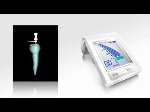 MORITA - Root ZX Mini [Apex Locator]