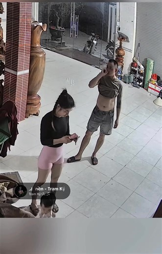 4M views · 13K reactions | Vk làm Gà Ck làm Vịt . K hiểu răng mà vẫn ở được với chắc đến dừ . Đúng kiểu Muốn thành công thì vk Nói ci làm ngược lại rứa phỉ #xuhuongfb | Thai Tuyet | Facebook