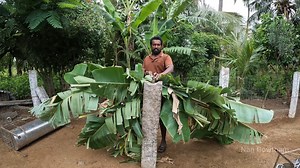 farming life... #farming #goatfarming | Nan Gowtham