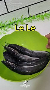Masak le le #resepmasakan #reels | Tutorial Ngliwet