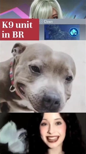 COD mobile K9 Unit BR vs Multiplayer😂 #codmobile #gamingshorts #gamingrelatable #codm