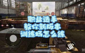 训练场大家都见过了 今天教大家怎么练