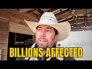 What The Epstein Files Have To Do With You