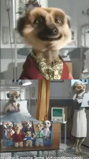 Sick Sergei Compare the Meerkat Advert with Meerkat Toys