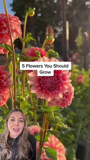 Top 5 Flowers to Grow: Easy & Stunning