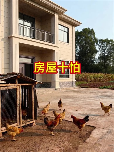 Understanding Feng Shui: Layout and Principles Explained