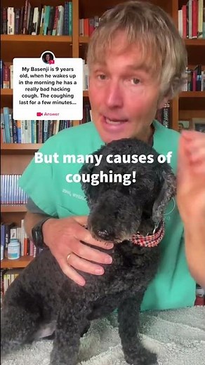 Dog wakes up with a cough it could be Heart Disease, but here’s how to help!