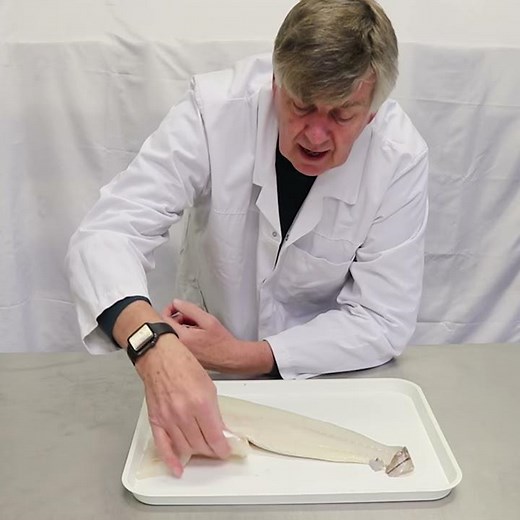 Icelandic haddock fillet: take a look