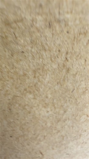 PRODUCCIONES KINSER on Instagram: "Un sueño se ha hecho realidad en casa de los Kinser. Hace unas semanas llegó a nuestras manos nuestro primer disco musical: El carrusel de la familia Kinser. Una cosa pequeñita llena de cosas grandes y significativas. ♥️ 📀 Un viaje por algunas de las canciones que forman parte de la trayectoria de la familia Kinser, desde aquellas que marcaron los inicios con Kiny y Serrucho hasta varios de los temas que forman parte de los espectáculos teatrales de la compañí