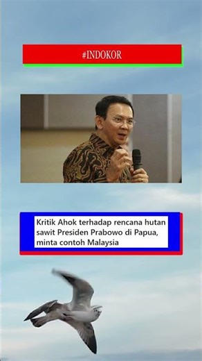 Ahok's criticism of President Prabowo's palm oil forest plan