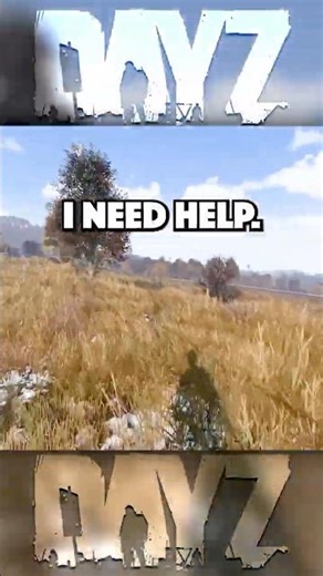 I Need Help in DayZ!