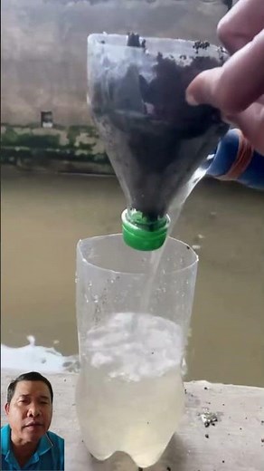 Super Easy Hydroponic Water Spinach for Urban Homes 🌱