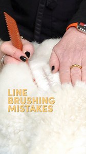 126K views · 795 reactions | Want to know the most common mistakes that are made while line-brushing? This week, Allison takes you through her methods, tips, and tricks for properly line-brushing your show dog's coat. | Leading Edge Dog Show Academy | Facebook