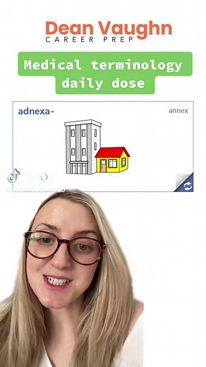 Comprendiendo el término médico 'adnexa'