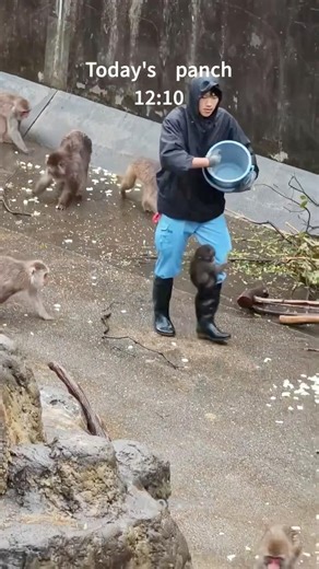 A person who was pushed away yesterday 🩷is now a million dollar baby...❤️One day is enough to cha...