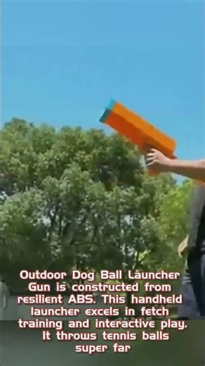 Outdoor Dog Ball Launcher Gun