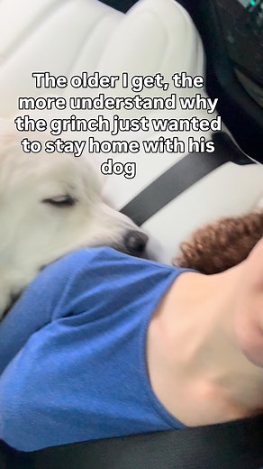 5.5K views · 2.5K reactions | Dogs over people any day 梁❤️‍啕 . . . . . . . . . . . . . . . . #dog #dogs #greatpyrenees #love #trending #instagram #funny #explore #cute #reels #viral | Bubbas.big.adventure | Facebook