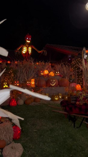 Haunted Pumpkin Patch Ideas for Halloween Yard Haunts