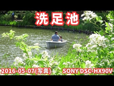 写真 洗足池 2016-05-07 (SONY DSC-HX90Vで撮影)