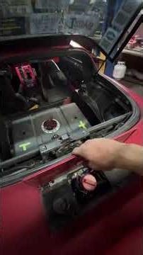 The mitochondria is the powerhouse of the fuel cell