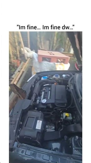 Get your Amazon gift card in bio 🎁 #viral #funny #viralvideo #shortsviral #shortvideos #trending