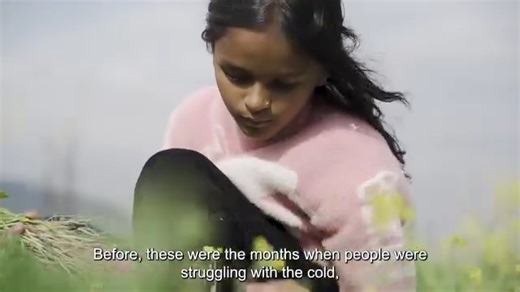 🌱 Meet the Plant Whisperer🌱 Ten-year-old Anushka from Surkhet finds joy in shady trees, homegrown vegetables — and caring for the planet. In this film produced under the EU-UNICEF partnership for education as part of a participatory storytelling effort, Anushka reflects on the impact of climate change on her village, herself and her peers, and shares her hopes for a greener, safer future. 🎥 Watch her story unfold in the fields, at school, and under the giant Simal tree she loves. #ForEveryChi