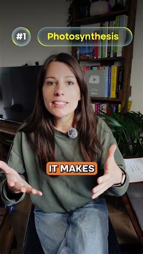 Most Likely Paper 2 topics for 2026 AQA