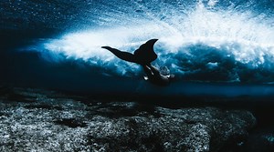 True Blue: A Collection of Photos and Videos Celebrating the Hue