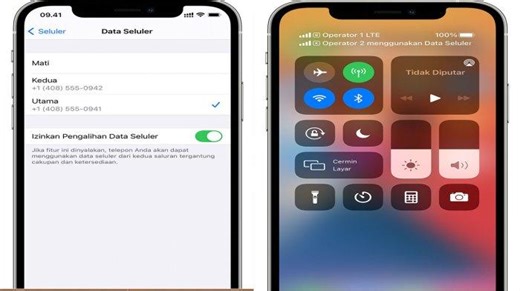 Cara Pasang eSIM pada iPhone ! Banyak iPhone Support Dual SIM, Cek Punyamu ? - Tribunpontianak.co.id