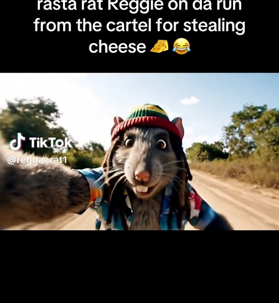 Reggae Rat on TikTok