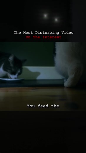 A Creepy Winter Morning: An Unforgettable Experience