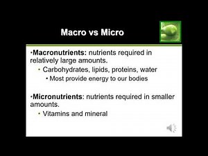 Quick Guide to Macros (Macronutrients)