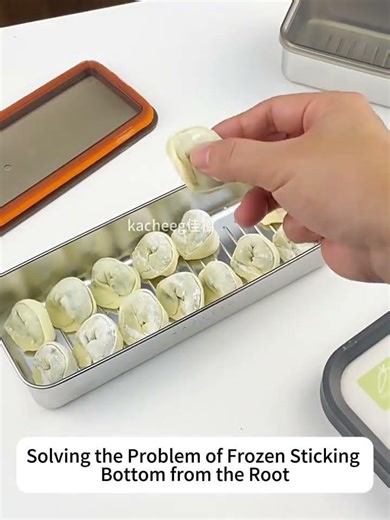 Kacheeg Stainless Steel Slim Rectangular Food Storage Container