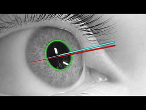 Can open-source eye tracking be THIS accurate?
