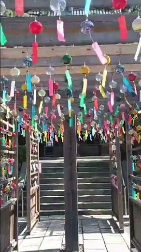 風鈴祭り 可睡斎 #祭り #崇禅寺 #イルミネーション