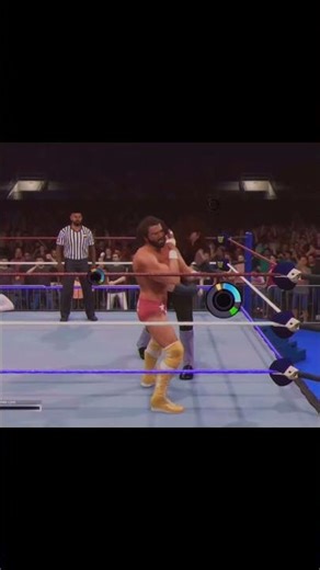 WWE 2K25: The Undertaker vs Macho Man Randy Savage