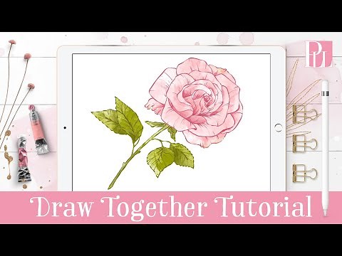 How to draw a Rose step by step in Procreate Tutorial