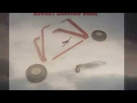 Seagull Models Fly Baby ARF