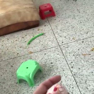 Watch Rerealistic Remote Control Snake Toy on Amazon Live