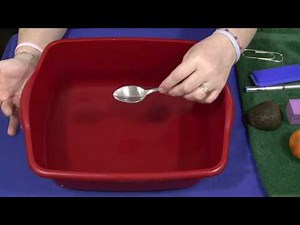 Sink or Float - Science Activity