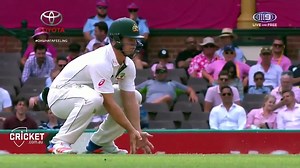 Ozzy Man Reviews: Cricket Nut Shots