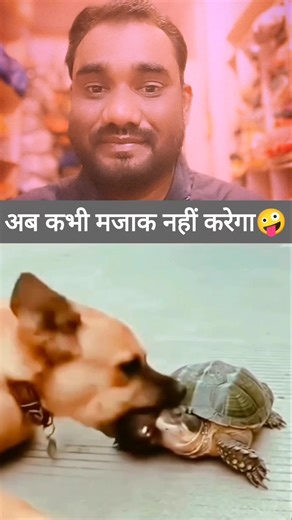 Turtle 🐢 vs Dog 🐕 || #youtubeshorts #funnyvideo #turtle #dog #reactionshorts #shorts